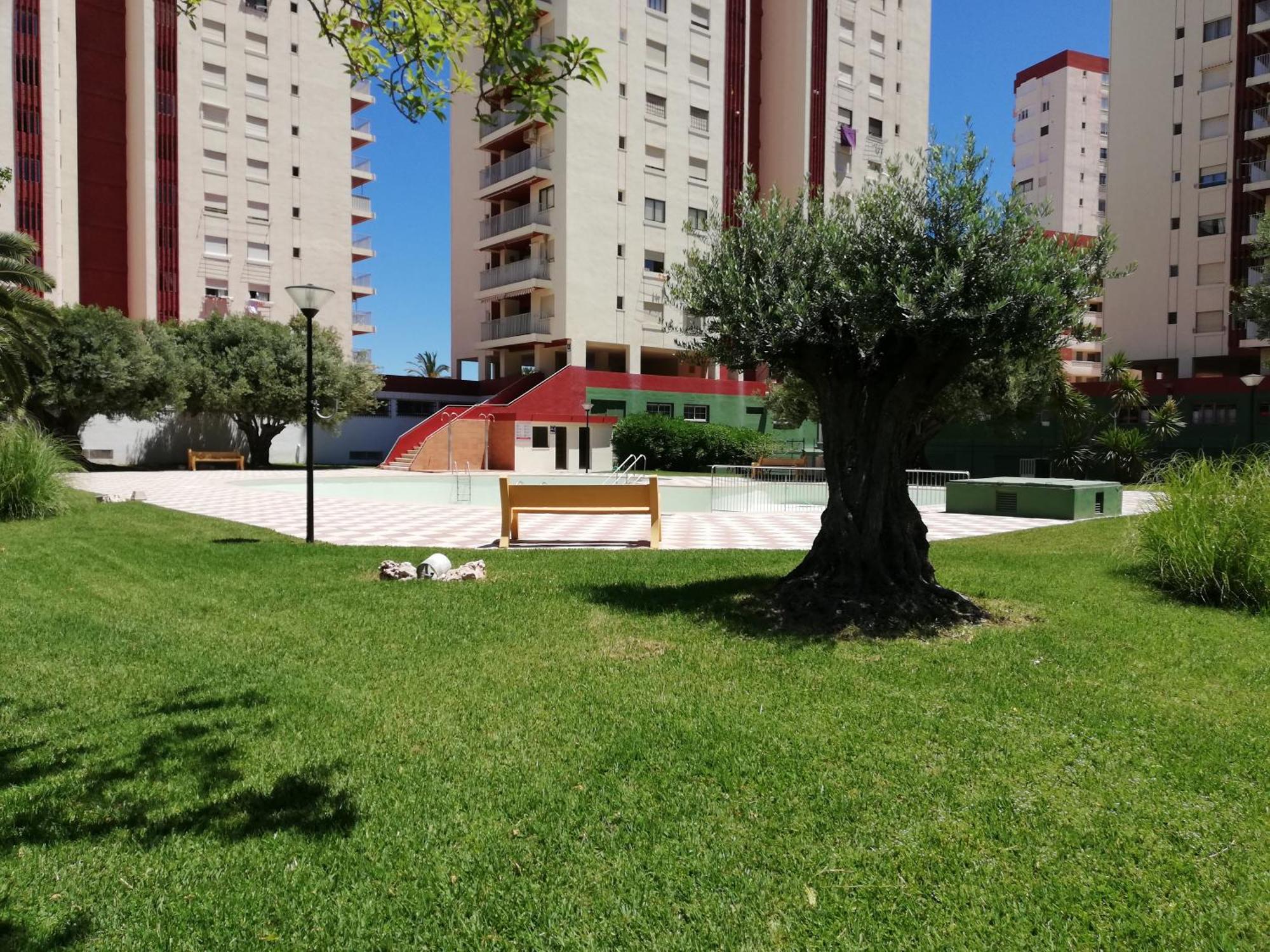 Danio Solo Familia Serviplaya Playa de Gandia Exterior photo